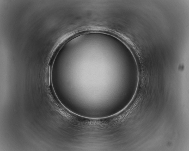 X0000101211223200806271406