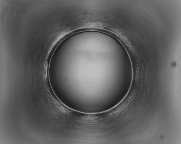 X0000101211224200806271406