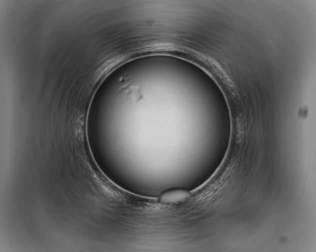 X0000101211225200806271406