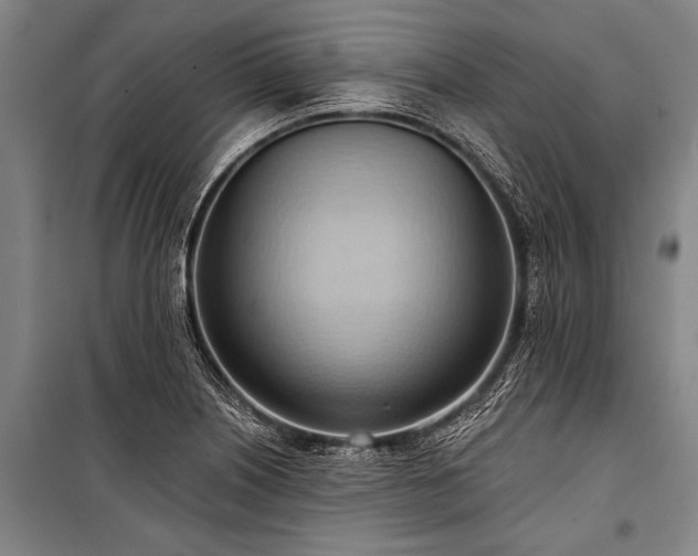 X0000101211226200806271406