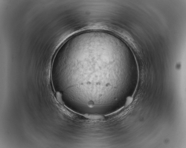 X0000101211228200806271407