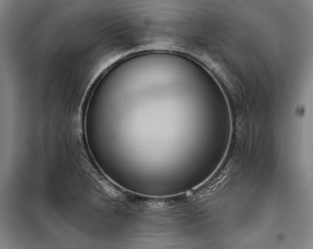 X0000101211230200806271407
