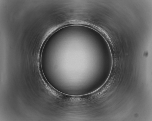 X0000101211231200806271407