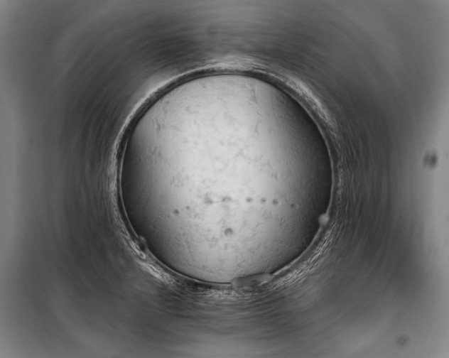 X0000101211232200806271407