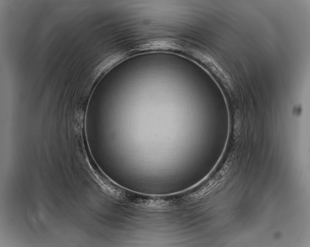 X0000101211233200806271407