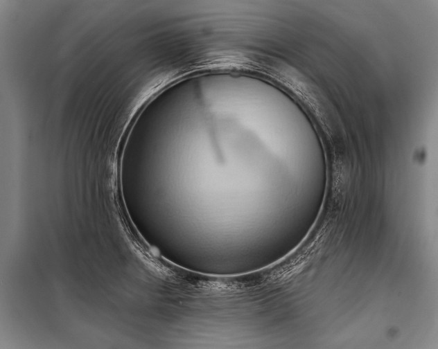 X0000101211234200806271407