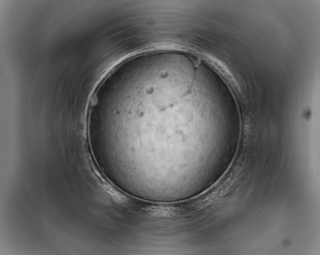 X0000101211236200806271407