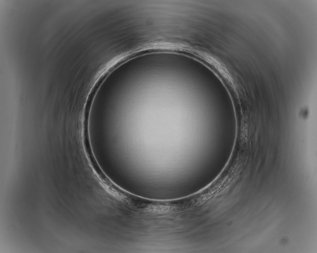 X0000101211237200806271407