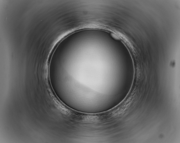 X0000101211238200806271407