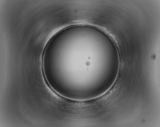 X0000101211239200806271407