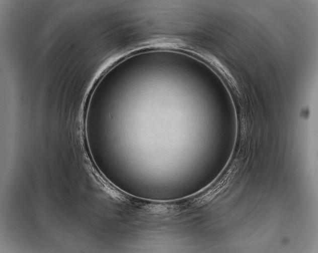 X0000101211240200806271407