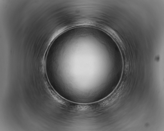 X0000101211242200806271407