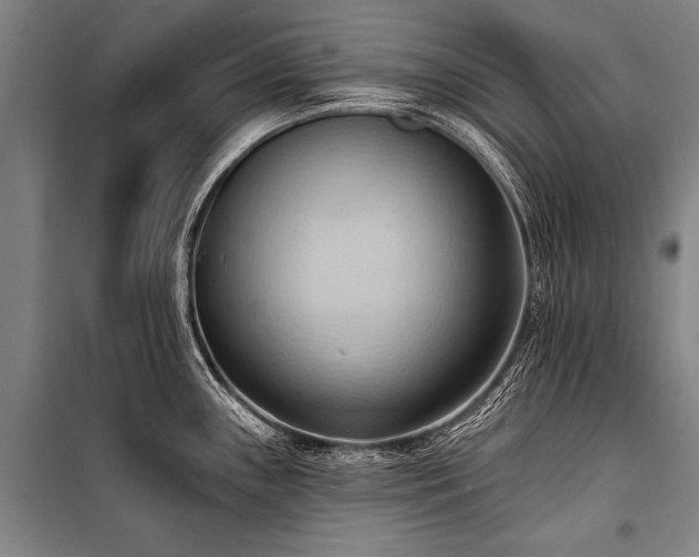 X0000101211243200806271407