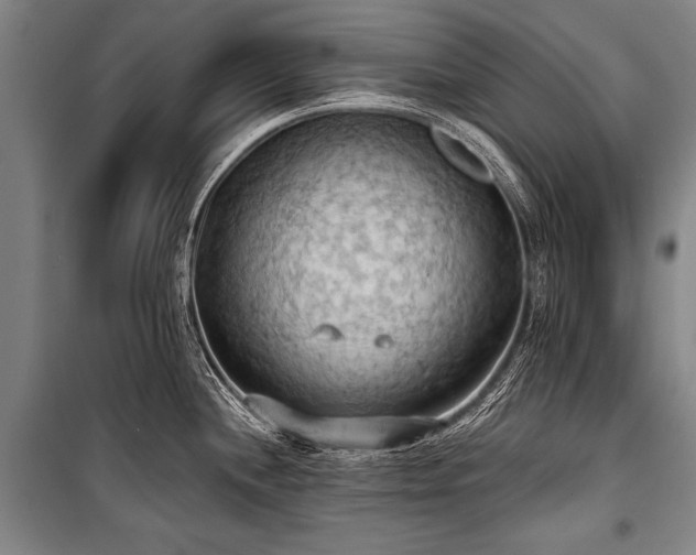 X0000101211244200806271407
