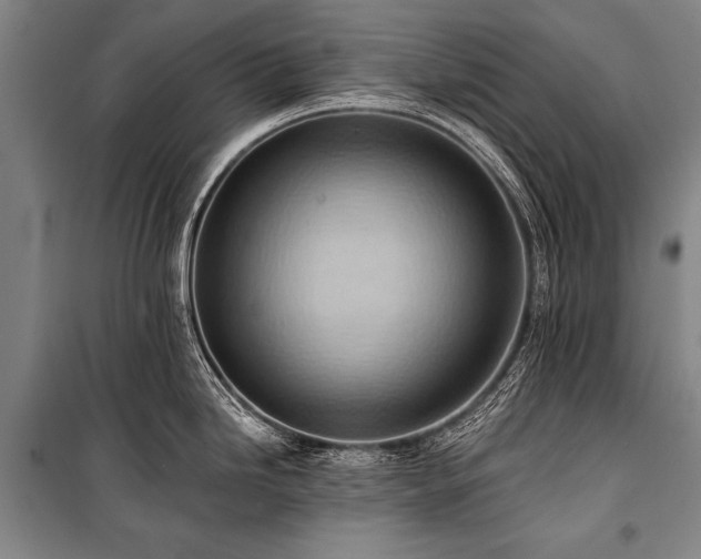 X0000101211246200806271407