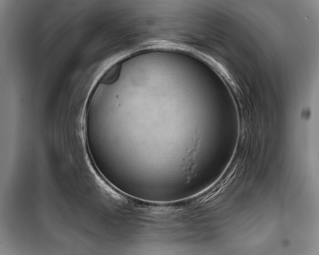 X0000101211247200806271407