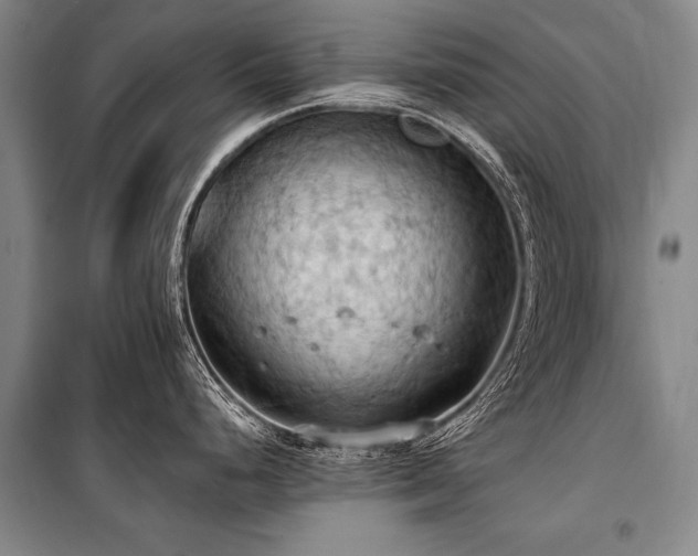 X0000101211248200806271407