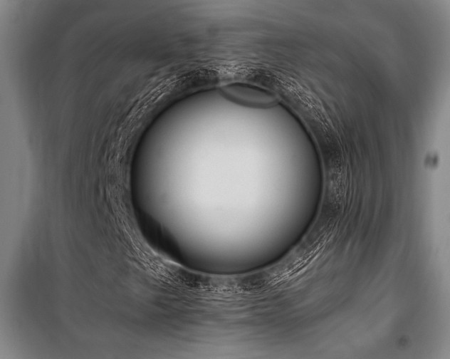 X0000101211249200806271406
