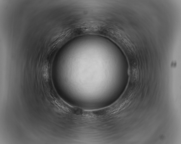 X0000101211250200806271406