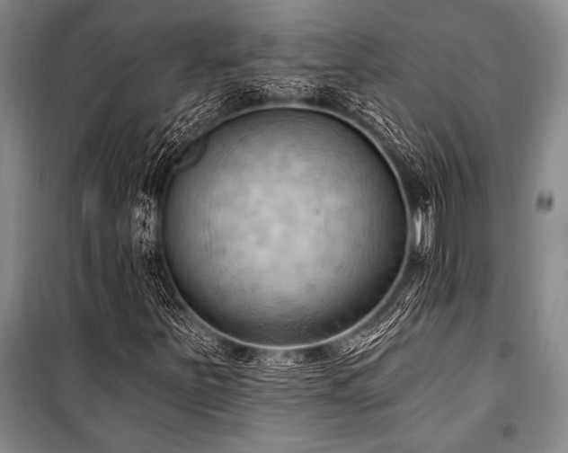 X0000101211251200806271406