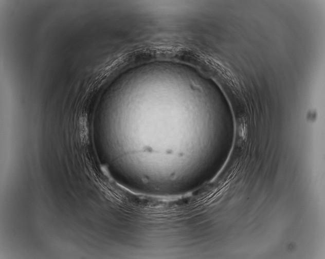 X0000101211252200806271406