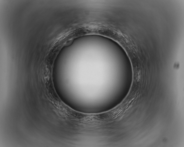 X0000101211253200806271406