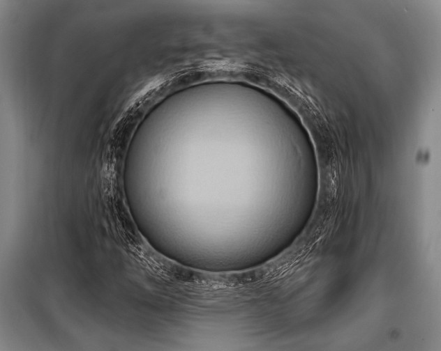X0000101211254200806271406