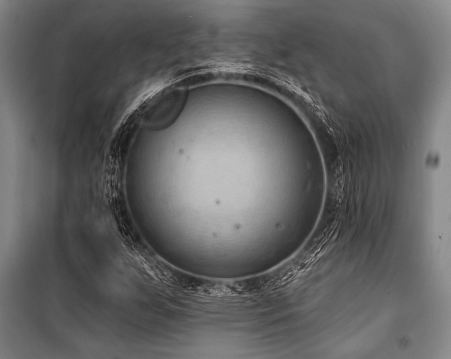 X0000101211255200806271406