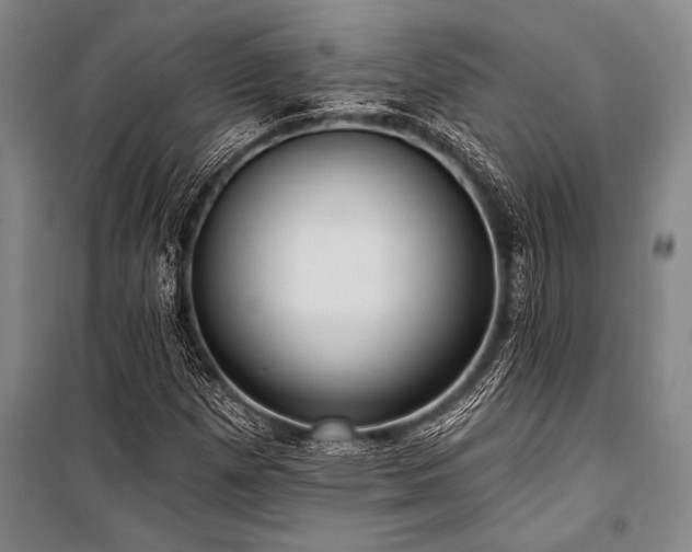X0000101211257200806271406