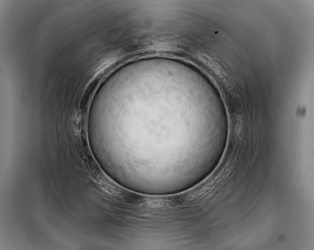 X0000101211258200806271406