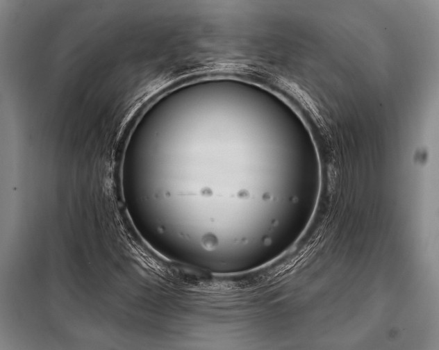 X0000101211260200806271406