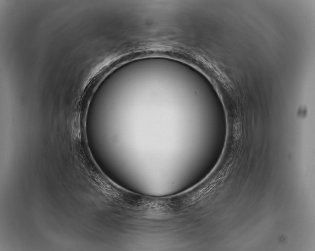 X0000101211262200806271406