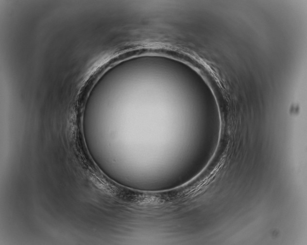 X0000101211263200806271406