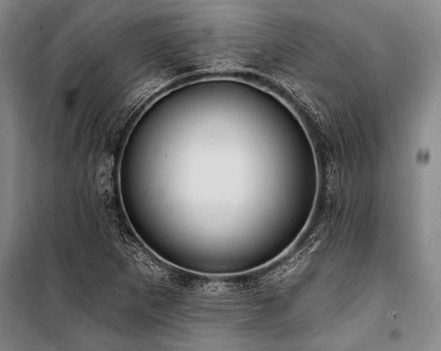 X0000101211265200806271406