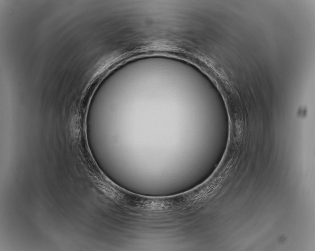 X0000101211266200806271406