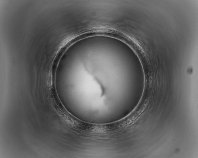 X0000101211267200806271406