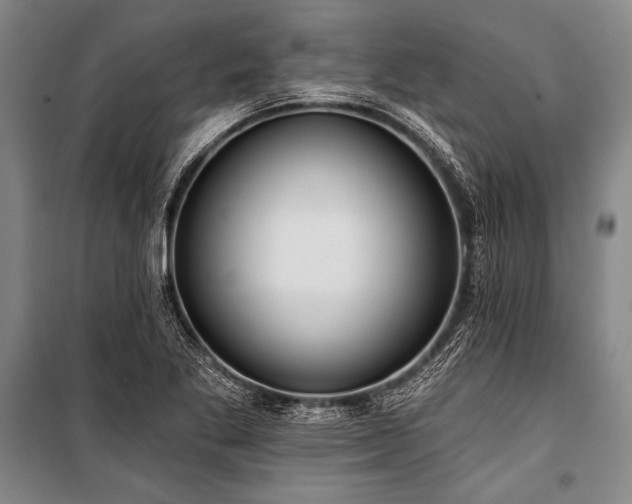 X0000101211269200806271406