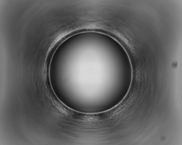 X0000101211270200806271406
