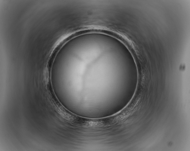 X0000101211271200806271406