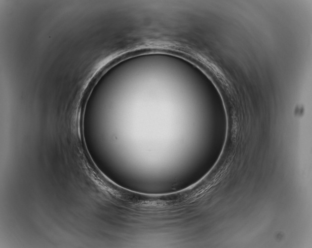X0000101211272200806271406