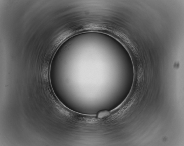 X0000101211273200806271406