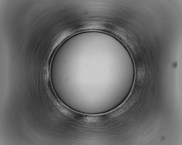 X0000101211274200806271406