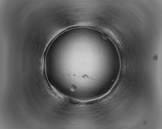 X0000101211276200806271406