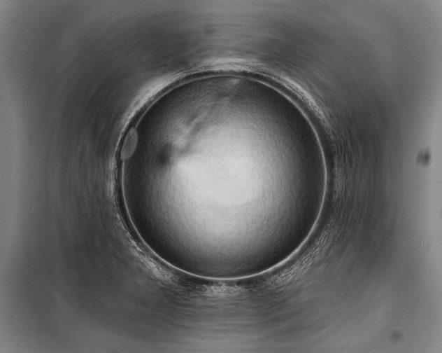 X0000101211277200806271406