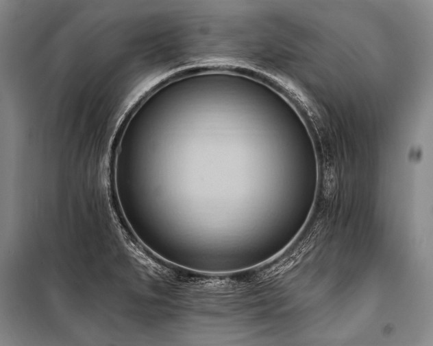 X0000101211279200806271406