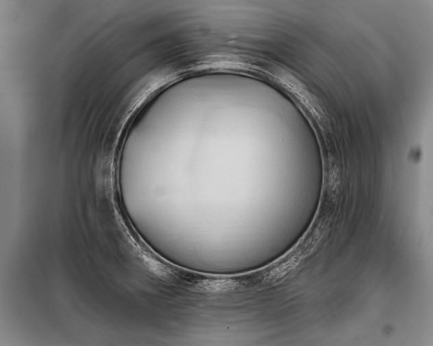 X0000101211282200806271406