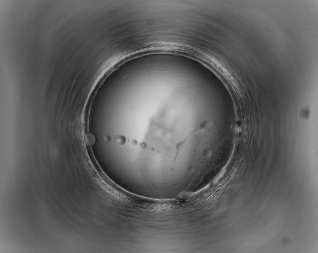 X0000101211283200806271406