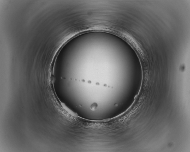 X0000101211284200806271406