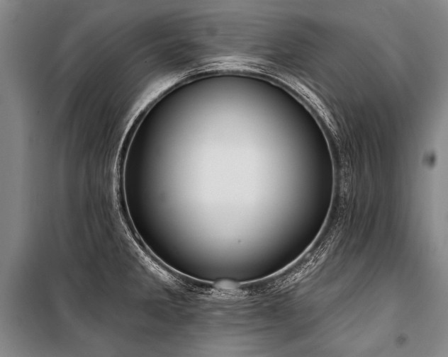 X0000101211285200806271406