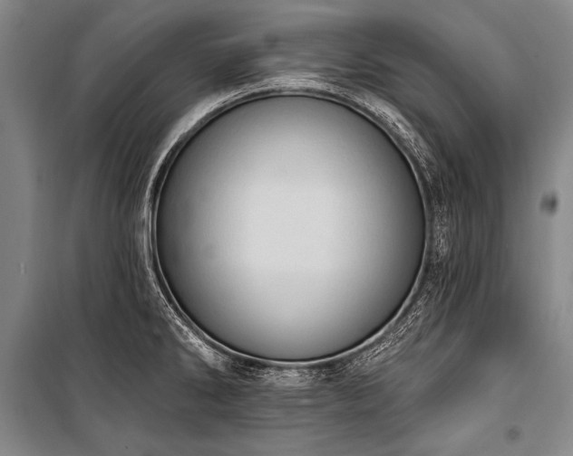 X0000101211286200806271406
